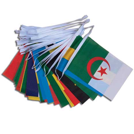 54 African Nations - Flag Bunting