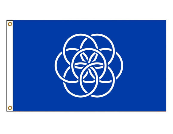 International Flag